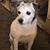 Cathy Hasser-Fleming's profile image