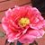 Al Kathy Mottl's profile image