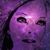 Pamela Blair's profile image