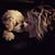 Kristen Maynard's profile image
