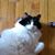 Cathy Hammond's profile image