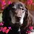 Paul Greenhill's profile image