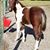 Sherry Thacker's profile image