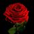 Elly Elly's profile image
