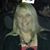 Rochelle Keibler's profile image