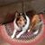 Cathy Lempa's profile image