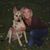 Mary Ashley Montgomery's profile image