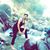 Max Chudary Haseeb's profile image