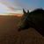 Cydney McCullough's profile image