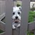 Deb Soper Seymour's profile image