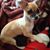 Jacqueline Cameron's profile image
