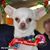 Paco Farmer's profile image