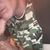 Kevin Plimmer's profile image