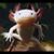 Heather Merchant's profile image