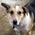 Melanie Gierach's profile image