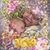 Karen McCabe's profile image