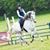Liz Coleman Parelli Instructor's profile image
