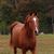 Lynn Alley Hall's profile image