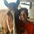 Kathy Jennings's profile image