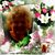 Virginia Tallant Heard's profile image