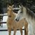 Gina Bozoian's profile image