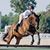 Stephanie Kepler's profile image