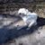 Angie Comstock's profile image