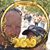 Timothy Tomasik's profile image