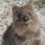 Terry Cox's profile image