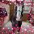 Christy Fisher's profile image
