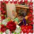 Randy Sdmf Peel's profile image