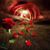 Candy Candy's profile image