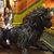 Matthew P Conduff's profile image