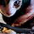 Valeria Gaultney Rome's profile image