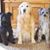 Debra Huff's profile image