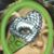 Angie Reyna's profile image