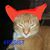 Terri McMurry's profile image