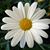 Sue Scott Sklar's profile image