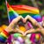 Terri Powell Wiersma's profile image