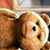 Luis Contreras's profile image