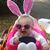 Brenda Chaplin Bihlear's profile image