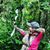 Leah Filipuzzi's profile image