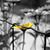 Dave Potts's profile image