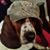 Anthony Molden's profile image
