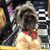 Winston Augusta Fourby's profile image