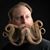 Shaun Hanson's profile image