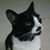 Michael Thompson's profile image