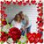 Susan Cookson's profile image