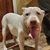 Gio Blackaller's profile image