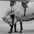 Connie LoMonaco's profile image